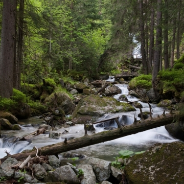 wellness pobyt Tatry