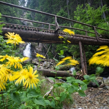 víkendový wellness pobyt Tatry